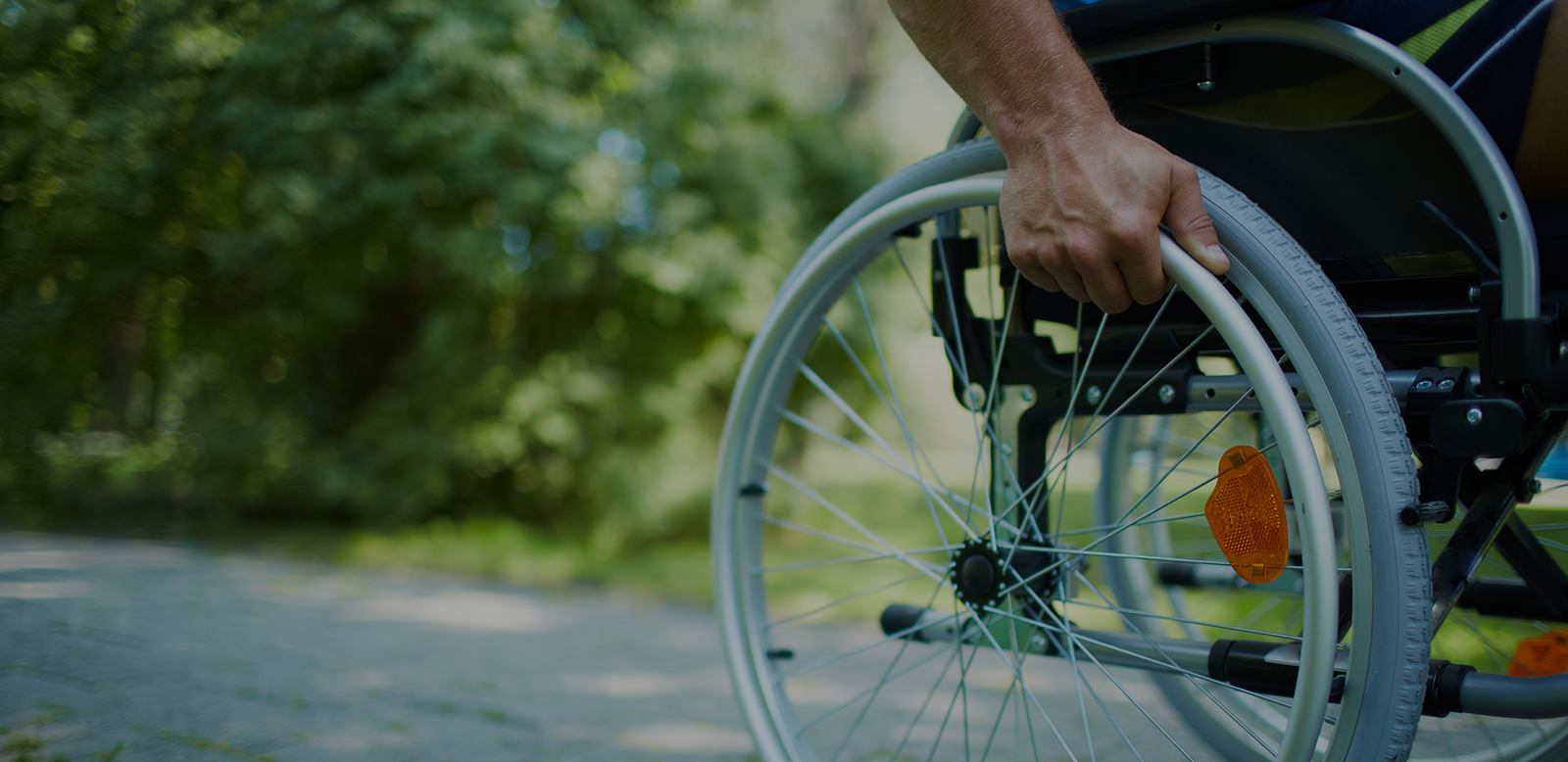 legacy of seventy five years